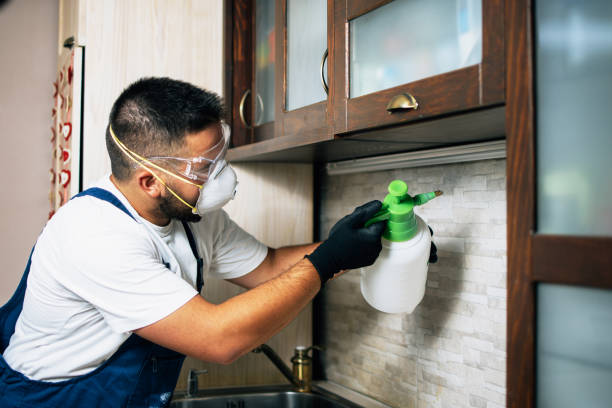 Best Pest Removal Services  in Kekaha, HI