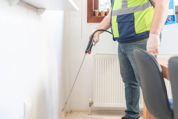 Best Wasp Removal Services  in Kekaha, HI
